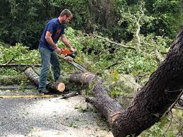 Mulching Services in Ucon, ID